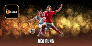 Kèo Rung - Cập Nhật Chi Tiết Về Các Quy Định, Cách Đọc
