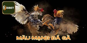 Màu Mạng Đá Gà - Yếu Tố Quyết Định Đến Cơ Hội Chiến Thắng