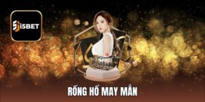 Rồng Hổ May Mắn - Chơi Casino Giải Trí, Rinh Thưởng Thắng Ngập Tràn